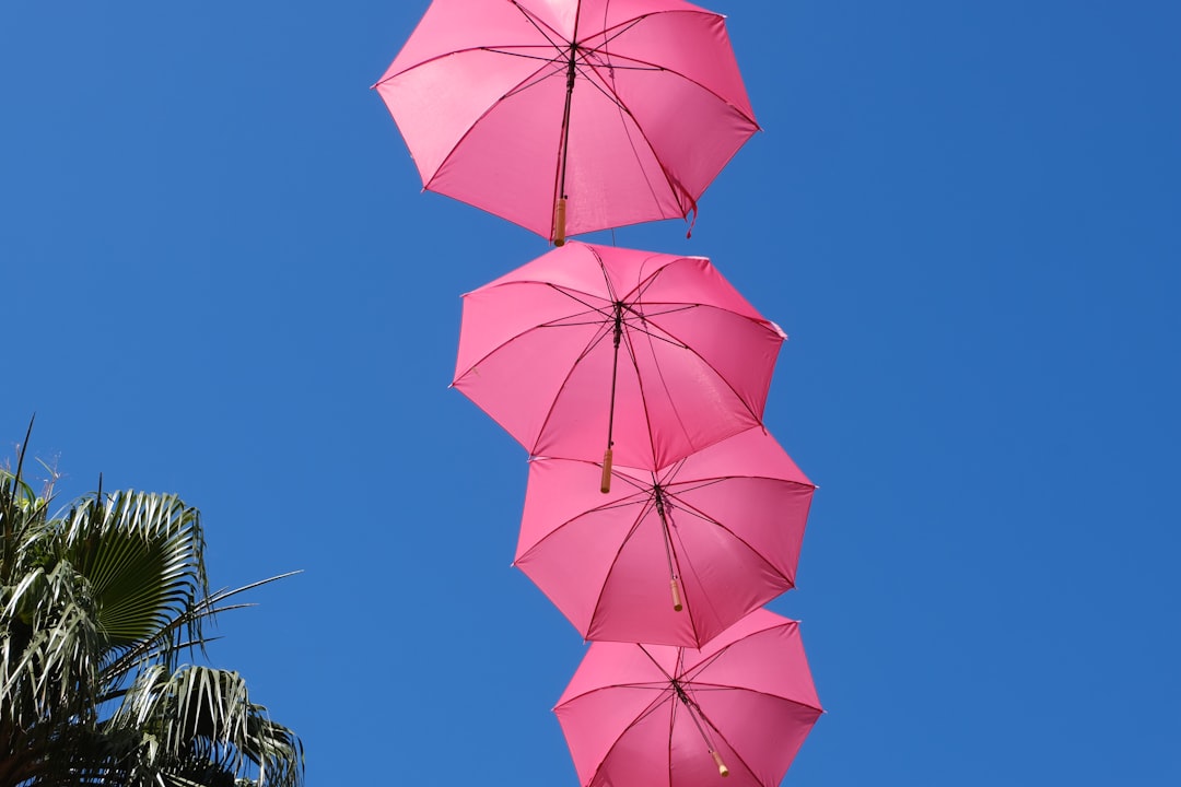 Een paraplu meenemen in je handbagage: wat mag wel en wat niet?